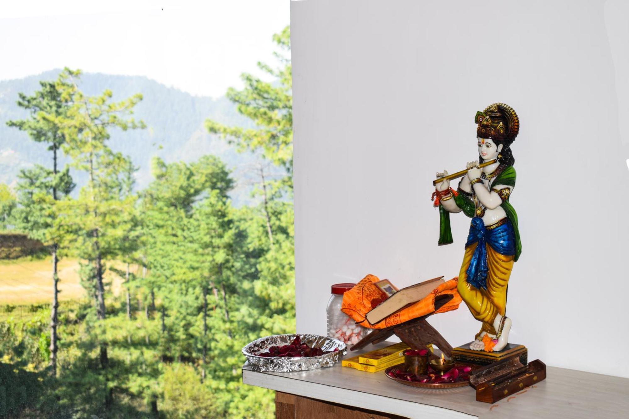 Royal Green Mashobra - Mountain And Valley View Rooms Shimla Luaran gambar