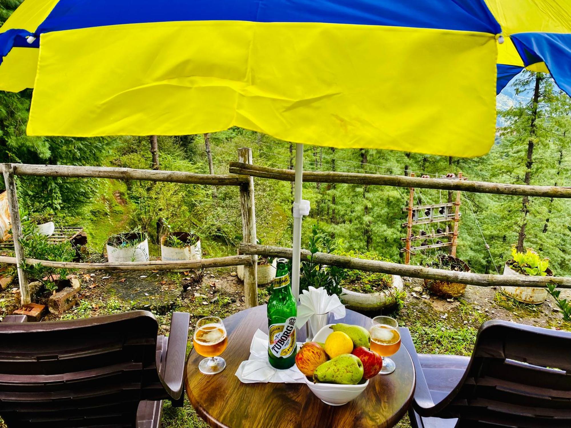 Royal Green Mashobra - Mountain And Valley View Rooms Shimla Luaran gambar